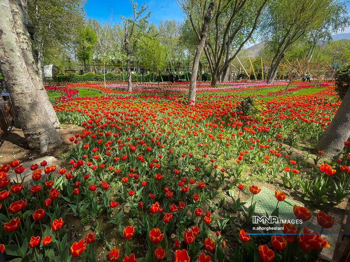 باغ لاله‌ها در کرج