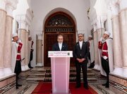 تمجید عراقچی از مواضع الجزایر در حمایت از فلسطین