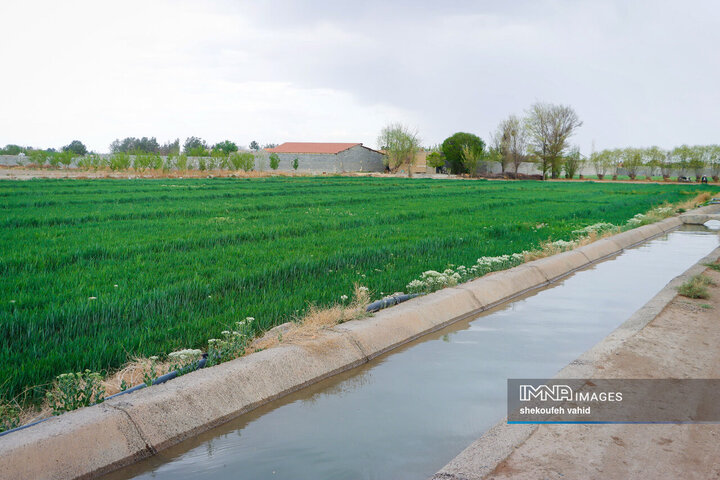 سرمایه‌گذاری در بخش کشاورزی زمینه‌ساز توسعه پایدار است
