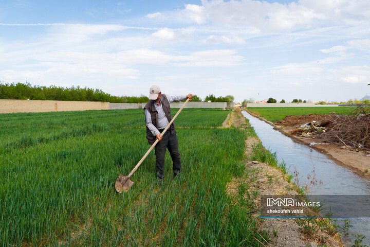 اختصاص ۴۲۰ میلیون مترمکعب آب به کشت بهاره شرق اصفهان