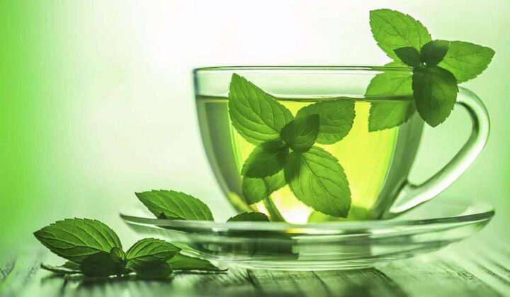 خواص نعناع و عرق نعناع در طب سنتی