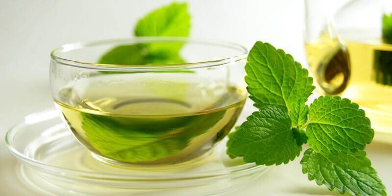 خواص نعناع و عرق نعناع در طب سنتی