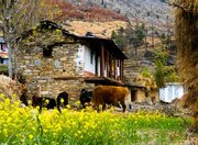گردشگری روستایی؛ موتور محرکه اقتصاد محلی
