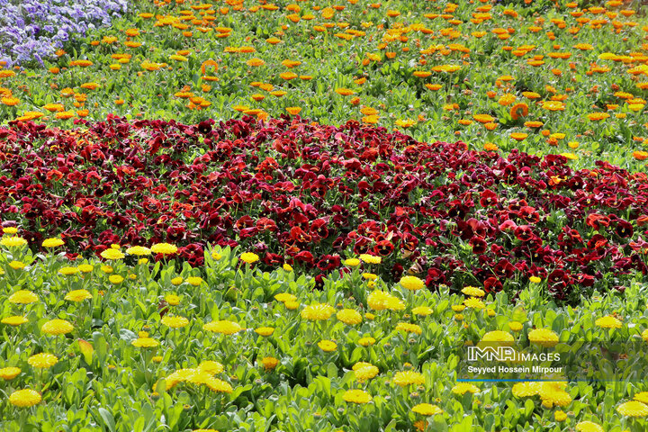 جشنواره گل‌ها در مشهد