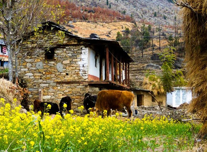 گردشگری روستایی؛ موتور محرکه اقتصاد محلی