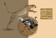 مقایسه سریع‌ترین حیوانات زمین در برابر انسان