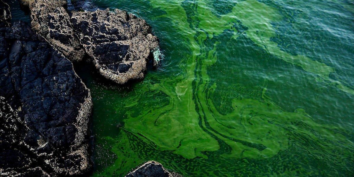 پدیدهای عجیب و نگرانکننده برای اقیانوسها