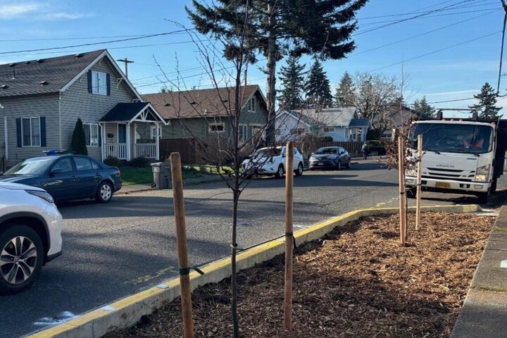 راه‌اندازی پارکینگ و سرویس اتوبوس برای جشنواره آش زنجان