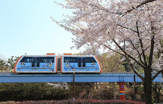 مونوریلهای شگفتانگیز جهان