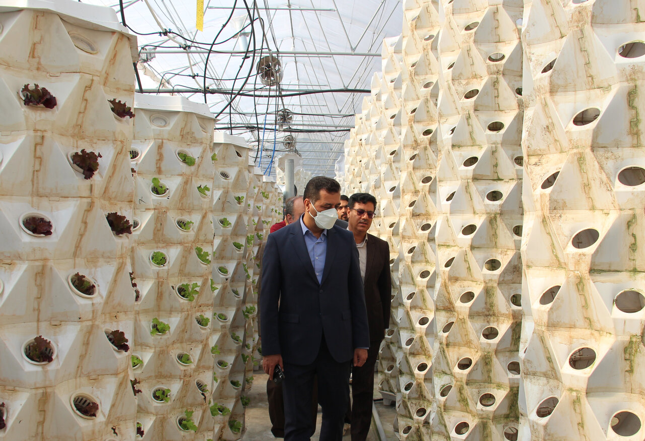 از تلاش دانشآموزان برای تولید محصولات گلخانهای تا بهبود خدمات آموزشی با هوش مصنوعی