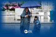 فیلم| باران عاشقی در حرم امام رضا (ع)