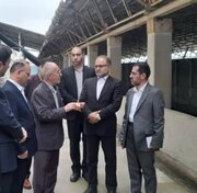 مازندران به‌دنبال توسعه اشتغال‌زایی و توانمندسازی تولید محصولات دریانوردی باشد