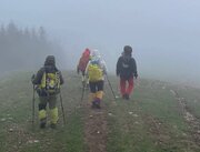 نجات جان چوپان آسیب‌دیده از حمله خرس در ارتفاعات کجور