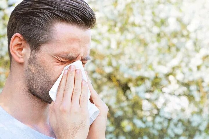 مواد غذایی آلرژی‌زا و غذاهای مفید برای آلرژی / راهکار درمان آلرژی به حیوانات