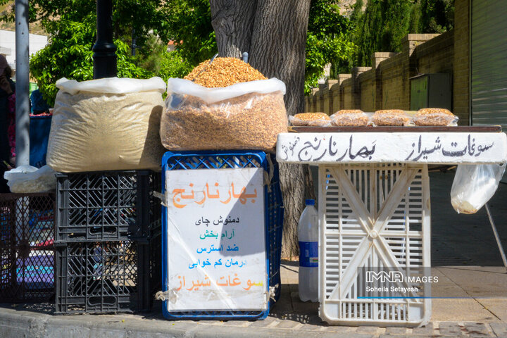 City Where Poetry Blooms: Orange Blossom in Shiraz
