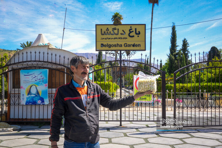 City Where Poetry Blooms: Orange Blossom in Shiraz