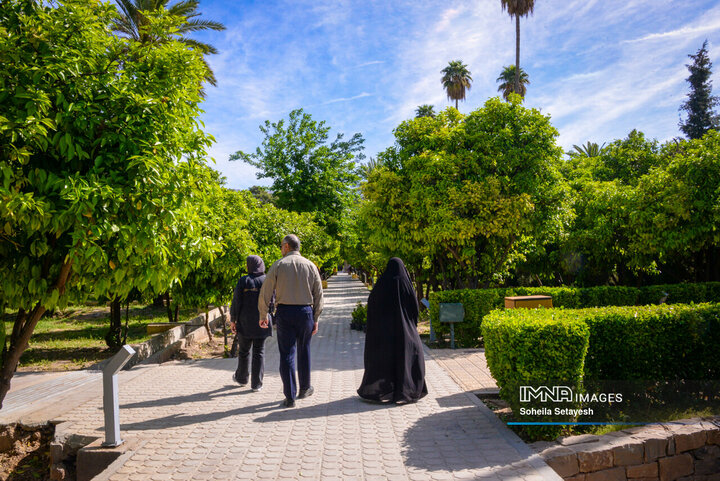 City Where Poetry Blooms: Orange Blossom in Shiraz