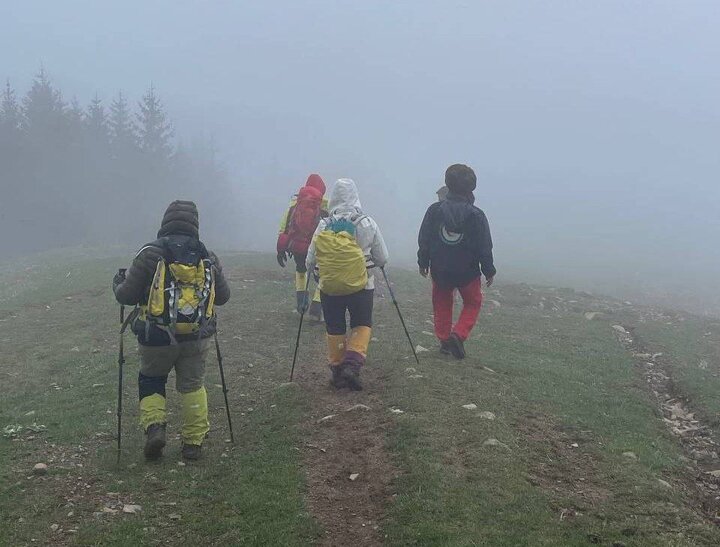 نجات جان چوپان آسیب‌دیده از حمله خرس در ارتفاعات کجور