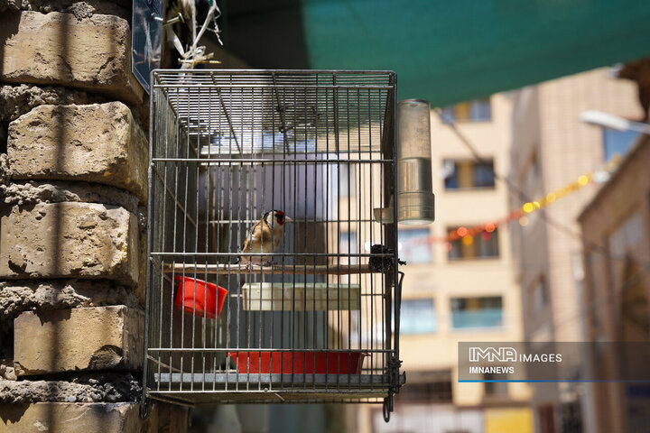 در کوچه پس کوچه‌های شهر اصفهان؛ محله خواجو