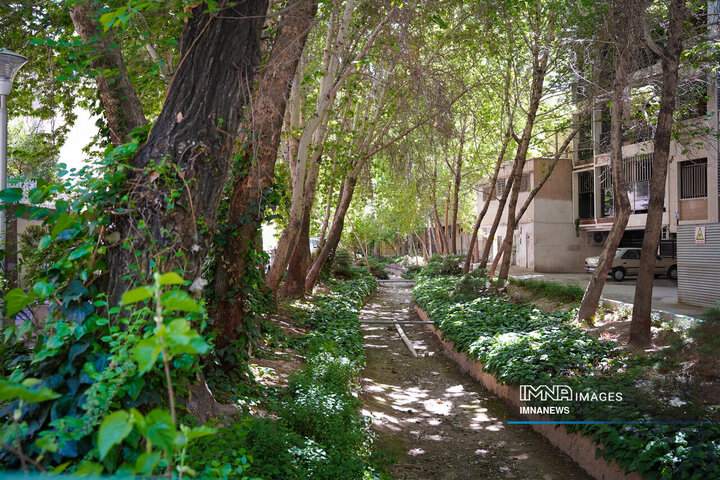 در کوچه پس کوچه‌های شهر اصفهان؛ محله خواجو