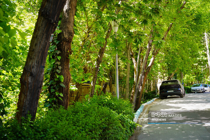 در کوچه پس کوچه‌های شهر اصفهان؛ محله خواجو