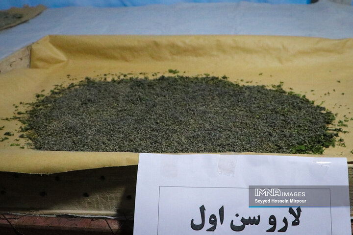 نفس‌های به شماره افتاده نوغان‌داری در تربت حیدریه