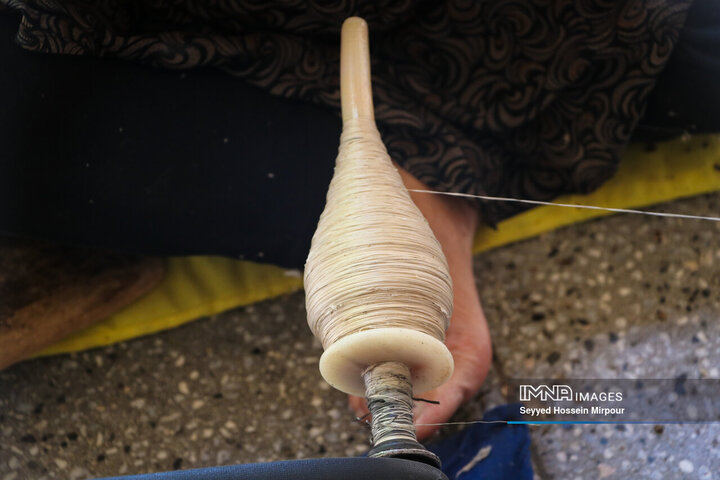 نفس‌های به شماره افتاده نوغان‌داری در تربت حیدریه