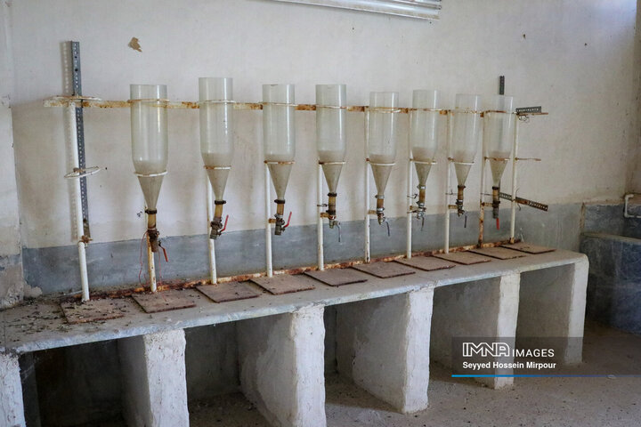 نفس‌های به شماره افتاده نوغان‌داری در تربت حیدریه