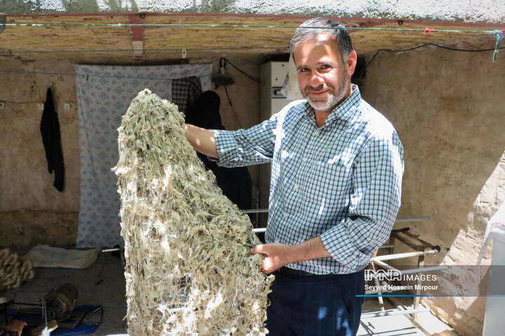 نفس‌های به شماره افتاده نوغان‌داری در تربت حیدریه