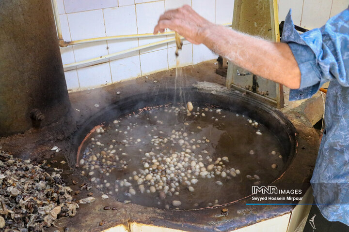 نفس‌های به شماره افتاده نوغان‌داری در تربت حیدریه