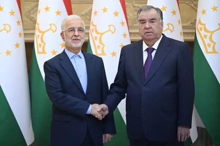 دیدار وزیر کشور با رئیس جمهوری تاجیکستان