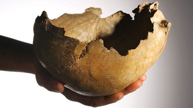 رسوایی دانشگاهیان آکسفورد در جمجمهخواری استعمارگونه