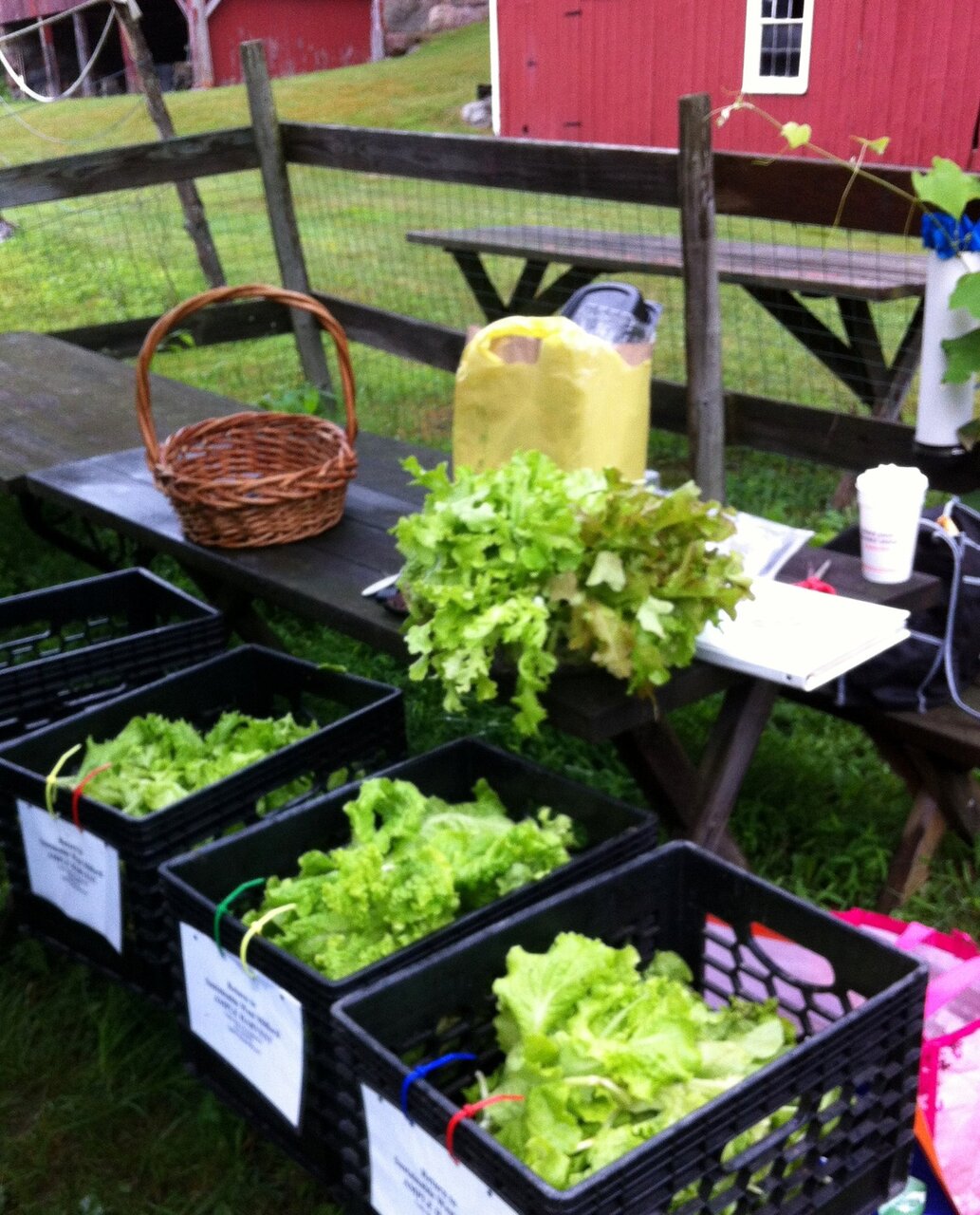 برنامههای تشویقی بازیافت؛ راهکاری مؤثر برای کاهش زباله