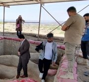 تپه تاریخی چغاگلان ثبت جهانی می‌شود