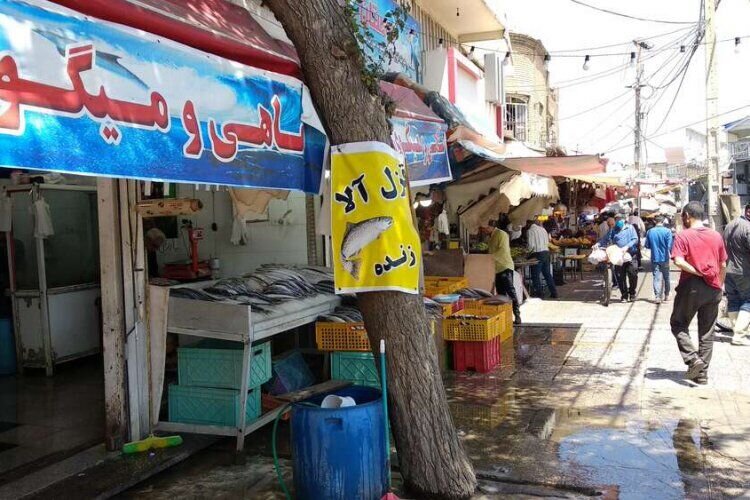 آیا طلسم ۲۰ ساله دروازه کازرون شکسته می‌شود؟