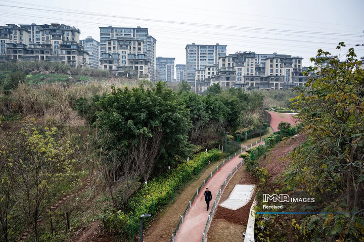 دومین شهر بزرگ جهان