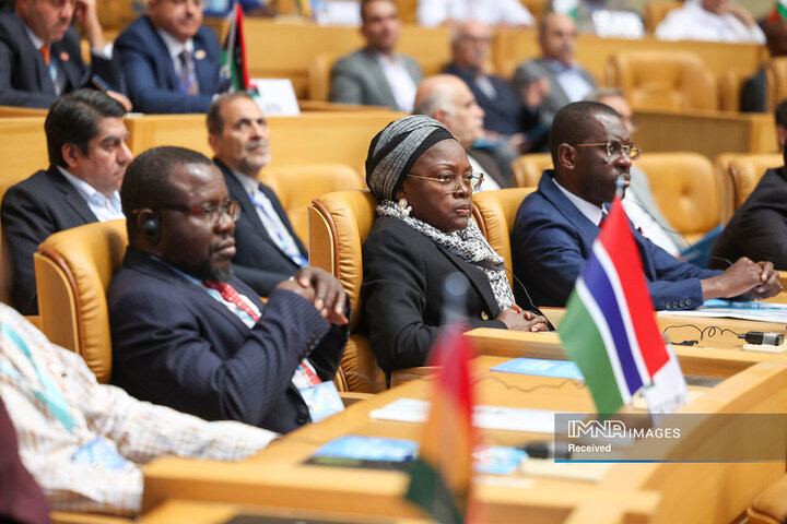 اجلاس همکاریهای ایران و افریقا