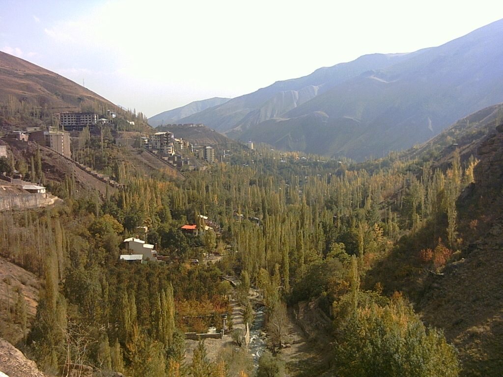 نقشی از شکوفهها بر بوم بهار