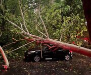 طوفان در مازندران یک فوتی برجای گذاشت