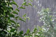 پیش بینی رگبار و وزش باد شدید در استان ایلام