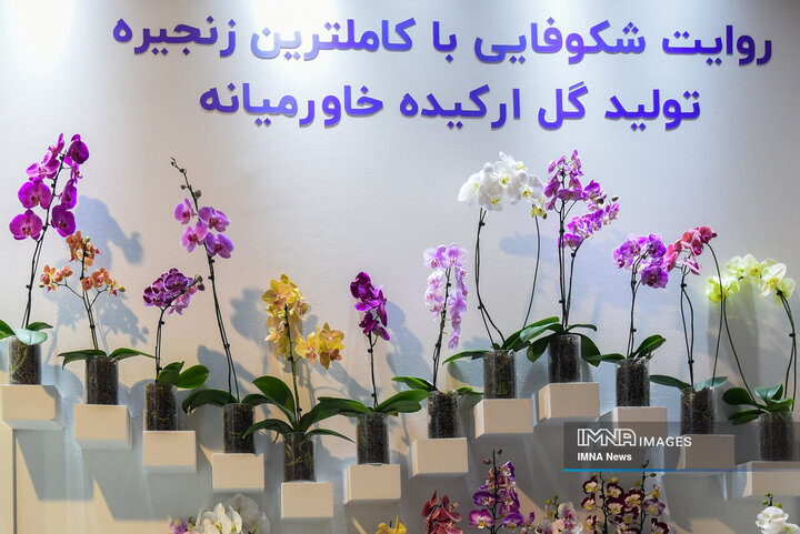 نمایشگاه ایران اکسپو با حضور وزیر صمت