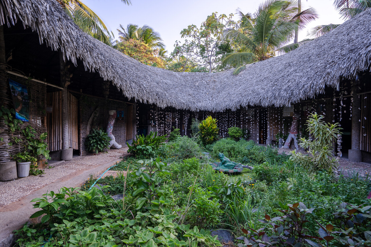 آرامش در زندگی شهری با طراحی بیوفیلیک