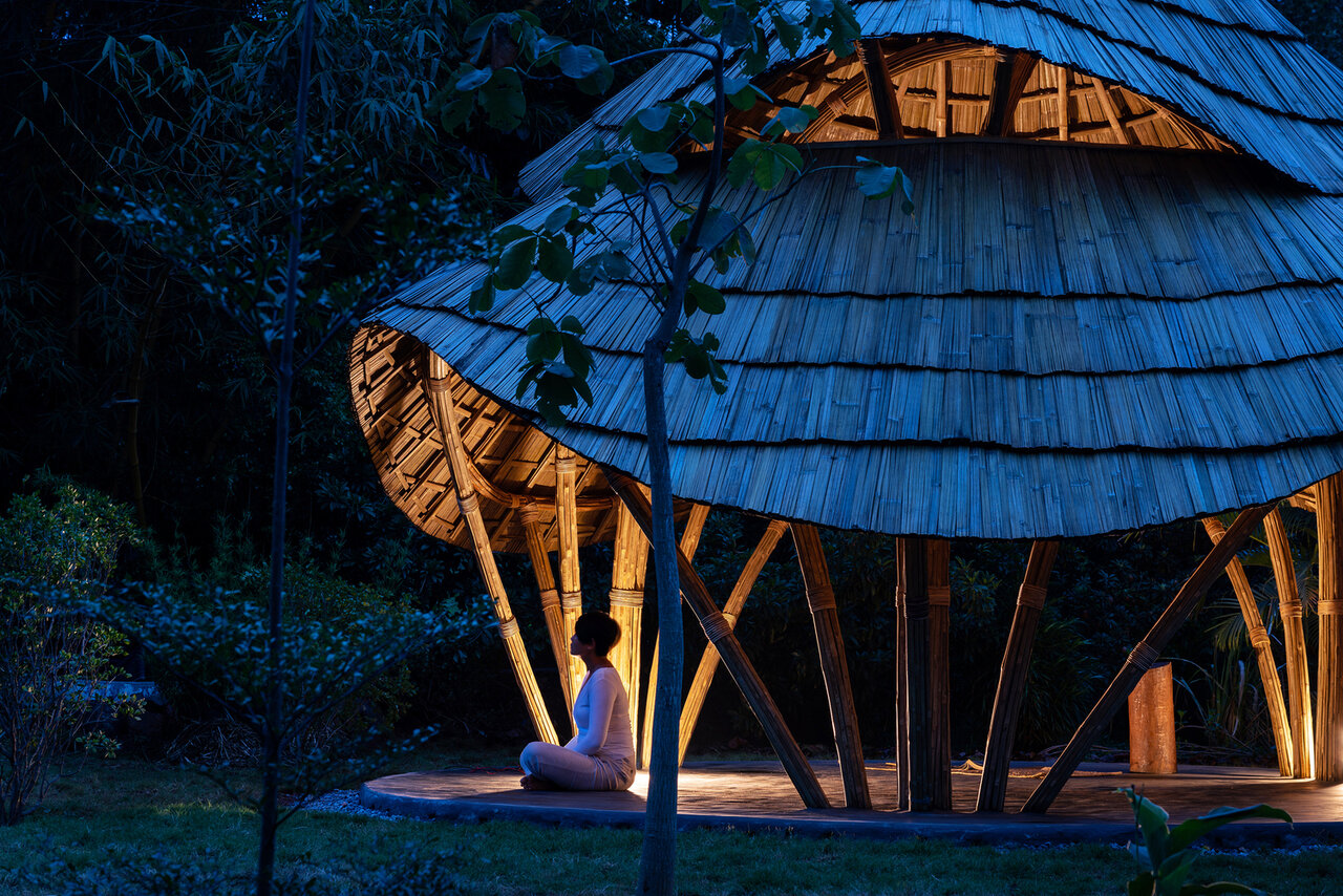 آرامش در زندگی شهری با طراحی بیوفیلیک