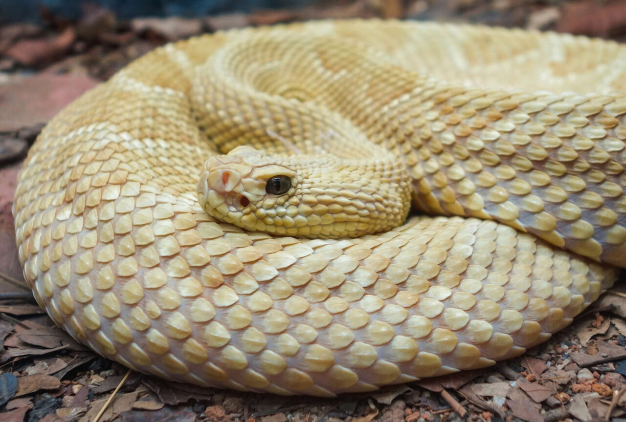 ترسناکترین مکانهای جهان + عکس