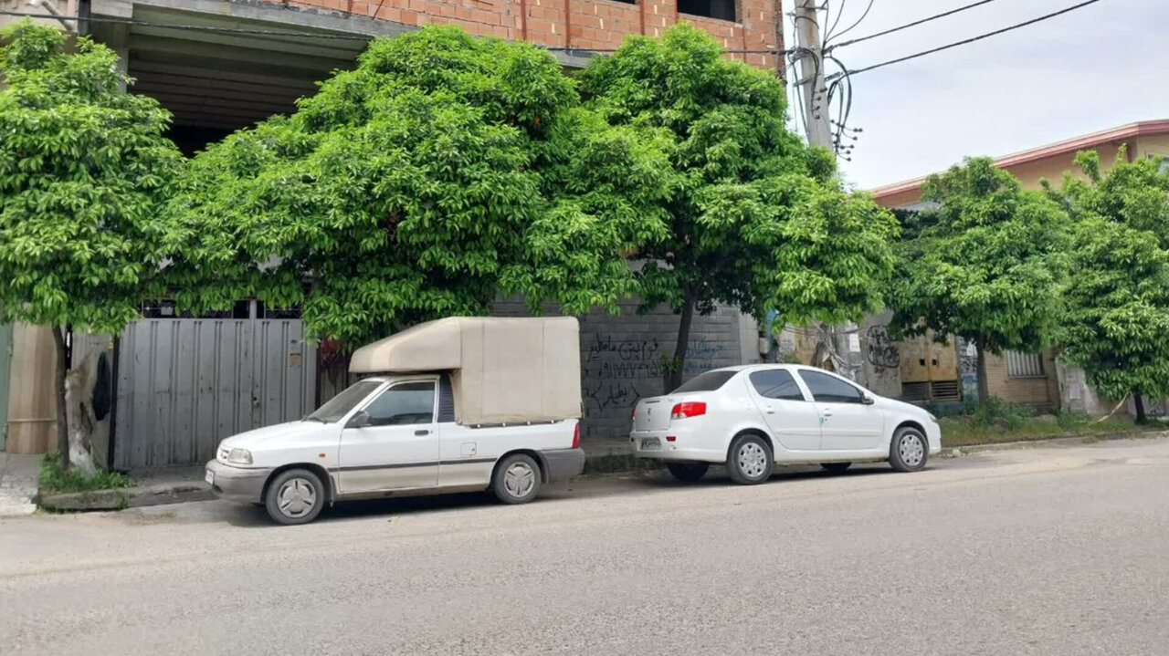بهارنارنج؛ از خیابان‌های بابل تا سفره‌های ایرانی