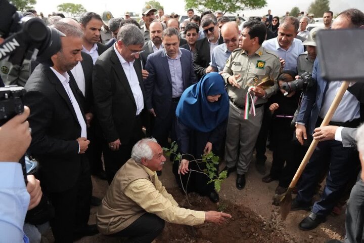 اجرای برنامههای پیشگیرانه برای مقابله با آتشسوزی در جنگلها