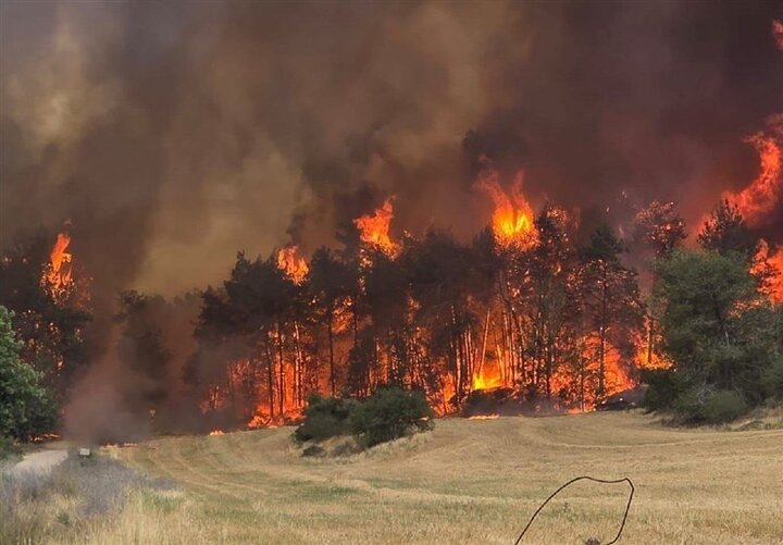 آتش‌سوزی گسترده در اطراف قدس همچنان ادامه دارد