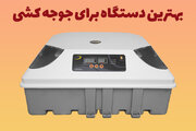 بهترین دستگاه برای جوجه کشی