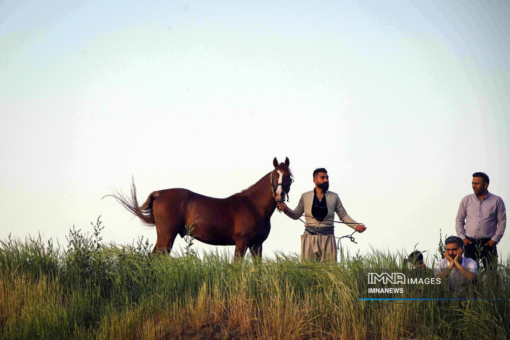 جشنواره اسب کُرد در سنندج