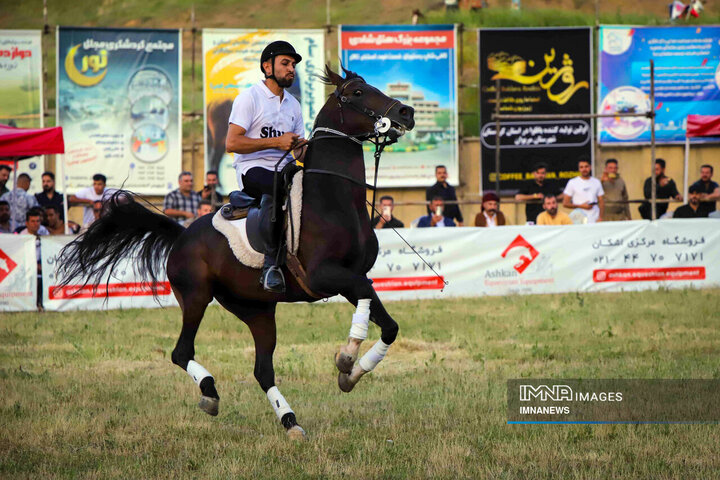 جشنواره اسب کُرد در سنندج